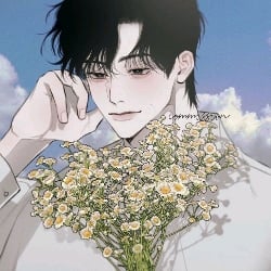 ׅ         Cirrus┊BL ࣪        ֶֶָ