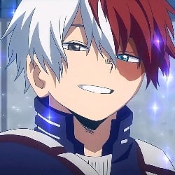 ⊱SHOTO TODOROKI⊰