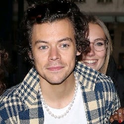 Harry Styles (fem guy)
