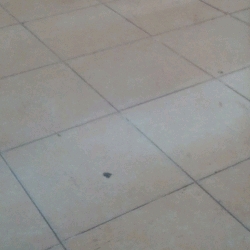 piso