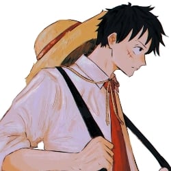 luffy ~