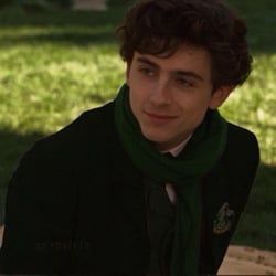 Regulus. Black.