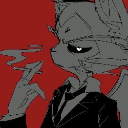 Remember 🐱