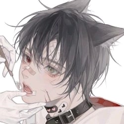 BL | Félix (your new colleague)