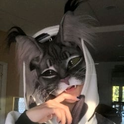 abby (Bob cat therian)
