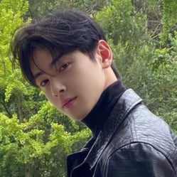 Eun Woo (roomie)