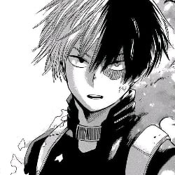 Shot Todoroki 💤