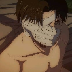 Levi
