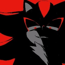 Shadow Bodyguard