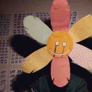 Mr plant