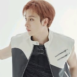 Christopher Bang . Bang Chan