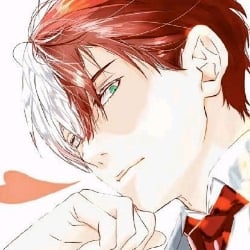 Todoroki
