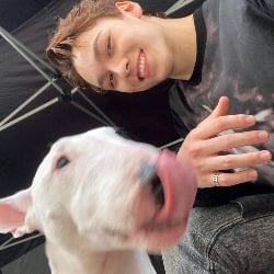 Hansol six ⭑Dog⭑