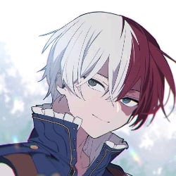 _*Shoto Todoroki Principal*_
