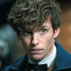 Newt Scamander /2/