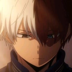 Todoroki Shoto²