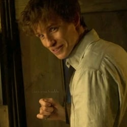 Newt Scamander