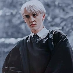 Draco Lucius Malfoy.