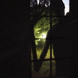 The silhouett