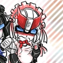 Ratchet maid