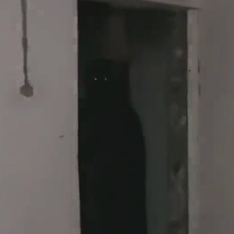 Afarid