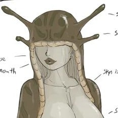 Slungena