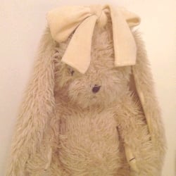 könig attachment bear