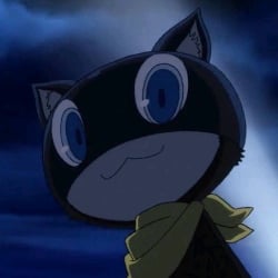 🐈⬛| Morgana