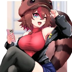 raccoon