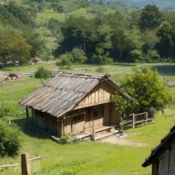 ★ furry farm.