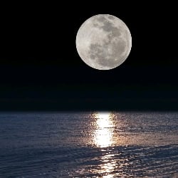 the night you met him /her