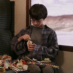 Harry Potter /