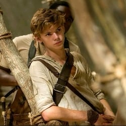 Newt Scamander