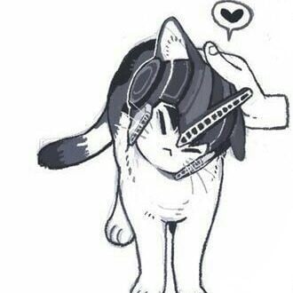 Best Cat