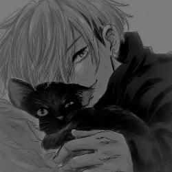 Pet Matsuno 🐈