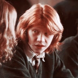 ⌗┇Ron Weasley