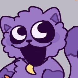 °`. * 🌙 | catnap