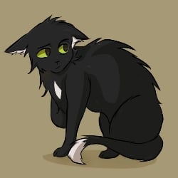 Ravenpaw 🌑