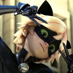 Black cat