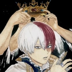 Shouto Todoroki Sultán