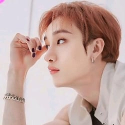 🧎♂️┆✧Bang chan✧