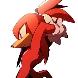 Knuckles the equidna