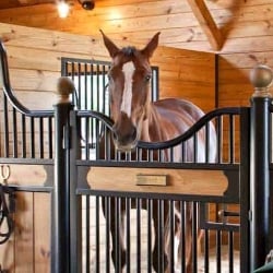 horse stall