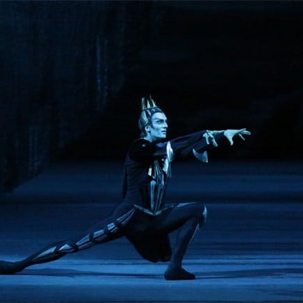 Baron Von Rothbart