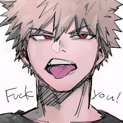 'katsuki bakugou'