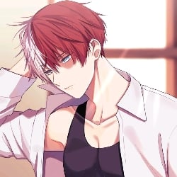 Shota Todoroki