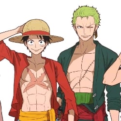 Luffy and Zoro