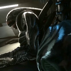 Xenomorph 