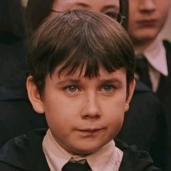 Neville longbottom 🍃