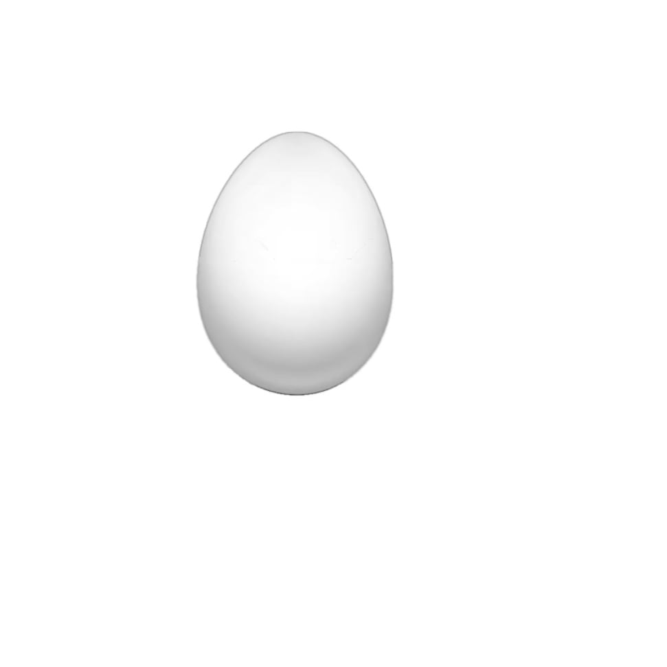 egg